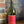Load image into Gallery viewer, 2021 Five Rows Sauvignon Blanc

